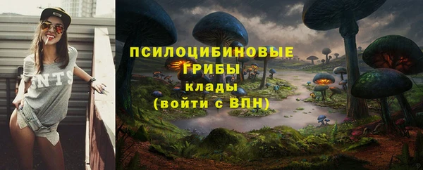 хмурый Алексеевка